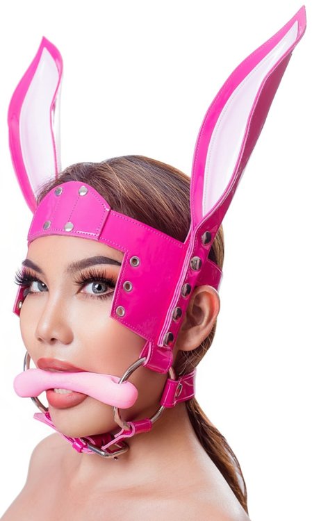 Pony Girl Blinker Harness