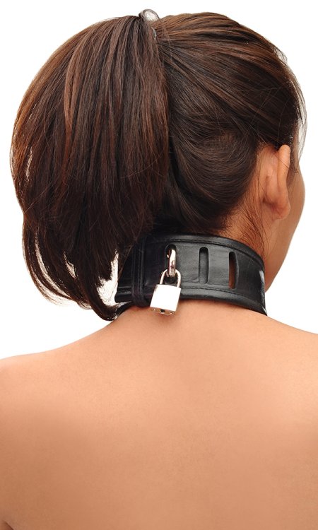 2 inch Leather Trainer Collar