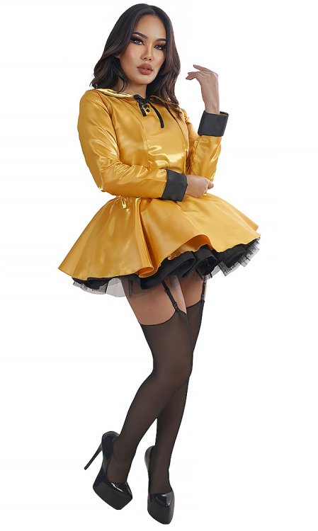 Elegant Wondershine French Maid
