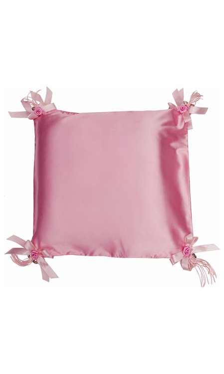 Satin Sissy Cushion Cover