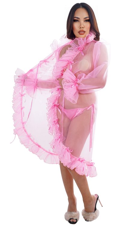 Sheer Ribbons Peignoir