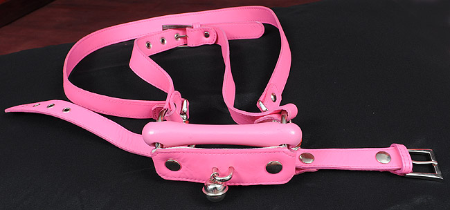 ponygag1b