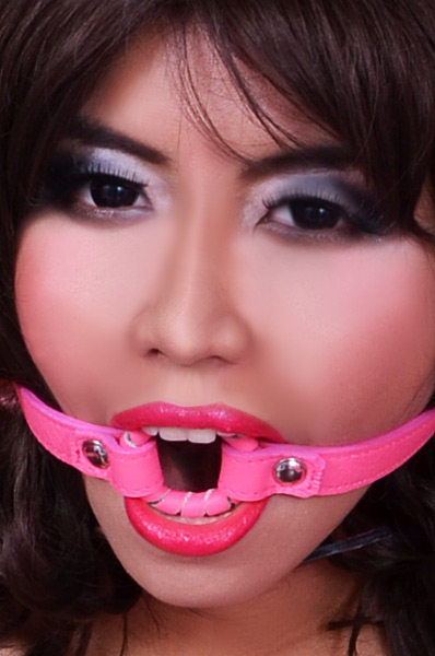 bon024 o ring gag 1