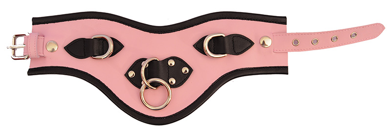 extreme posture collar 6