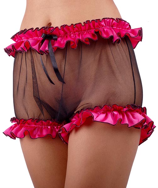 verity net panties 1