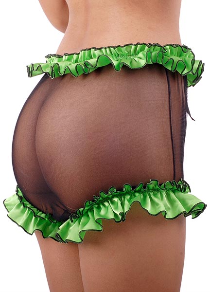 verity net panties 4