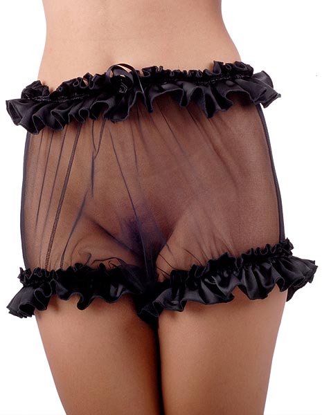 verity net panties 6