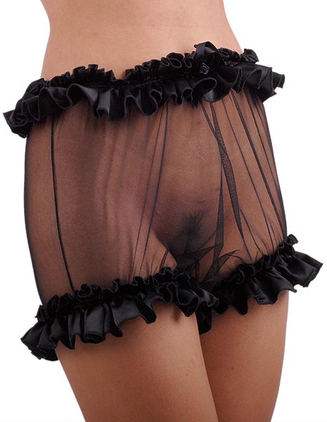 verity net panties 7
