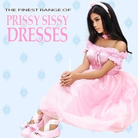 The SissyStore