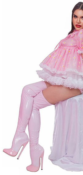 The SissyStore