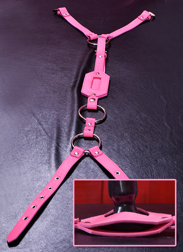 Leather Plug Harness