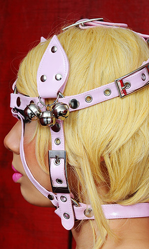 Sissy Pet Head Harness