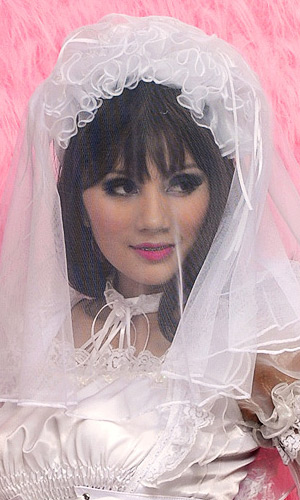 Virgin Bridal Veil